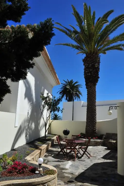 Garden with a palm tree, table, chairs and barbecue