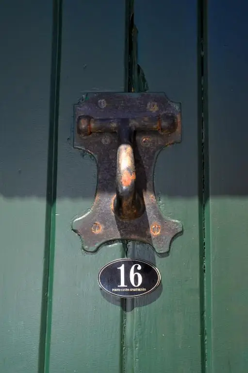 Old knocker on the gate, with the number 16 plate